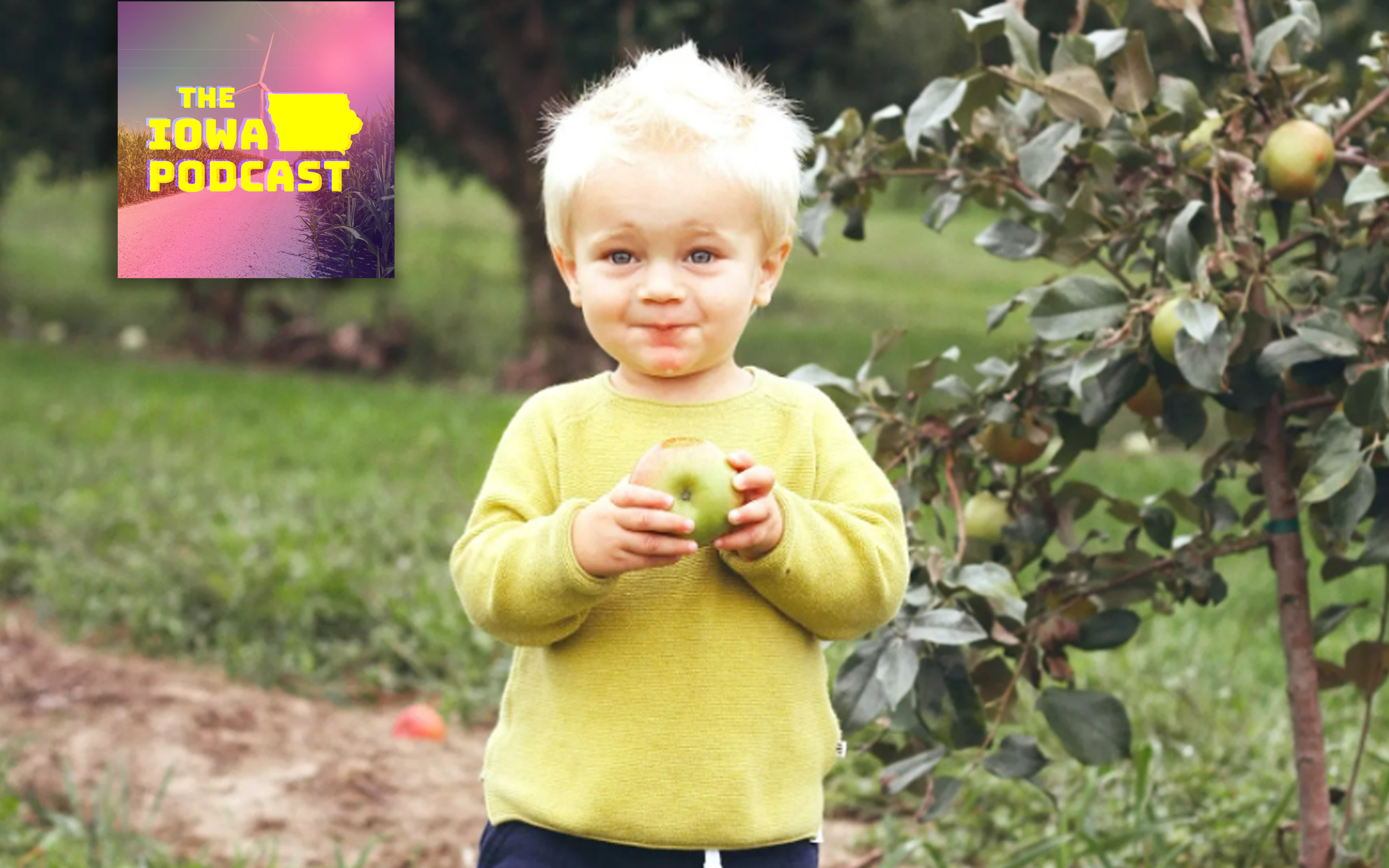 The best apple picking locations in Iowa