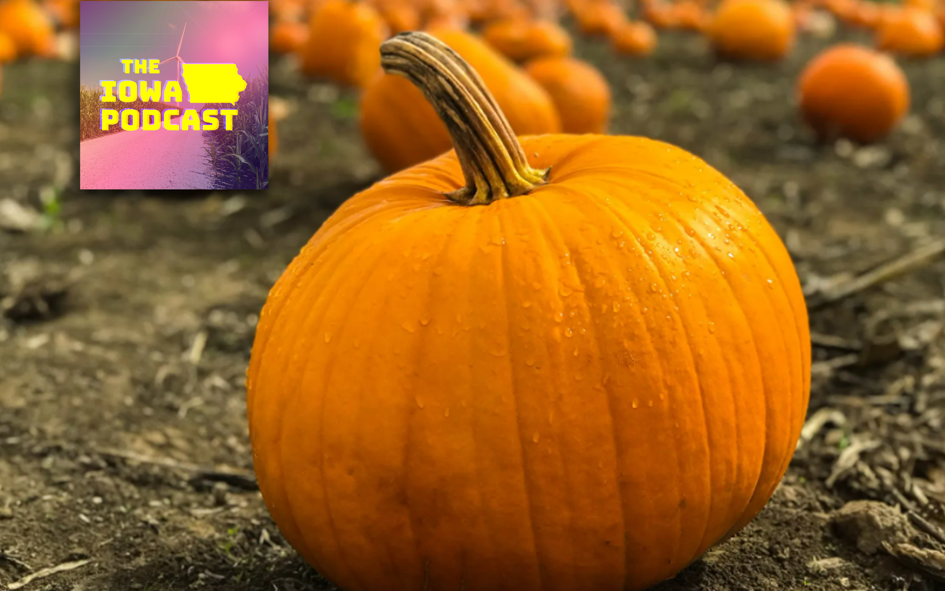 Anamosa, Iowa celebrates pumpkin season in a CRAZY way