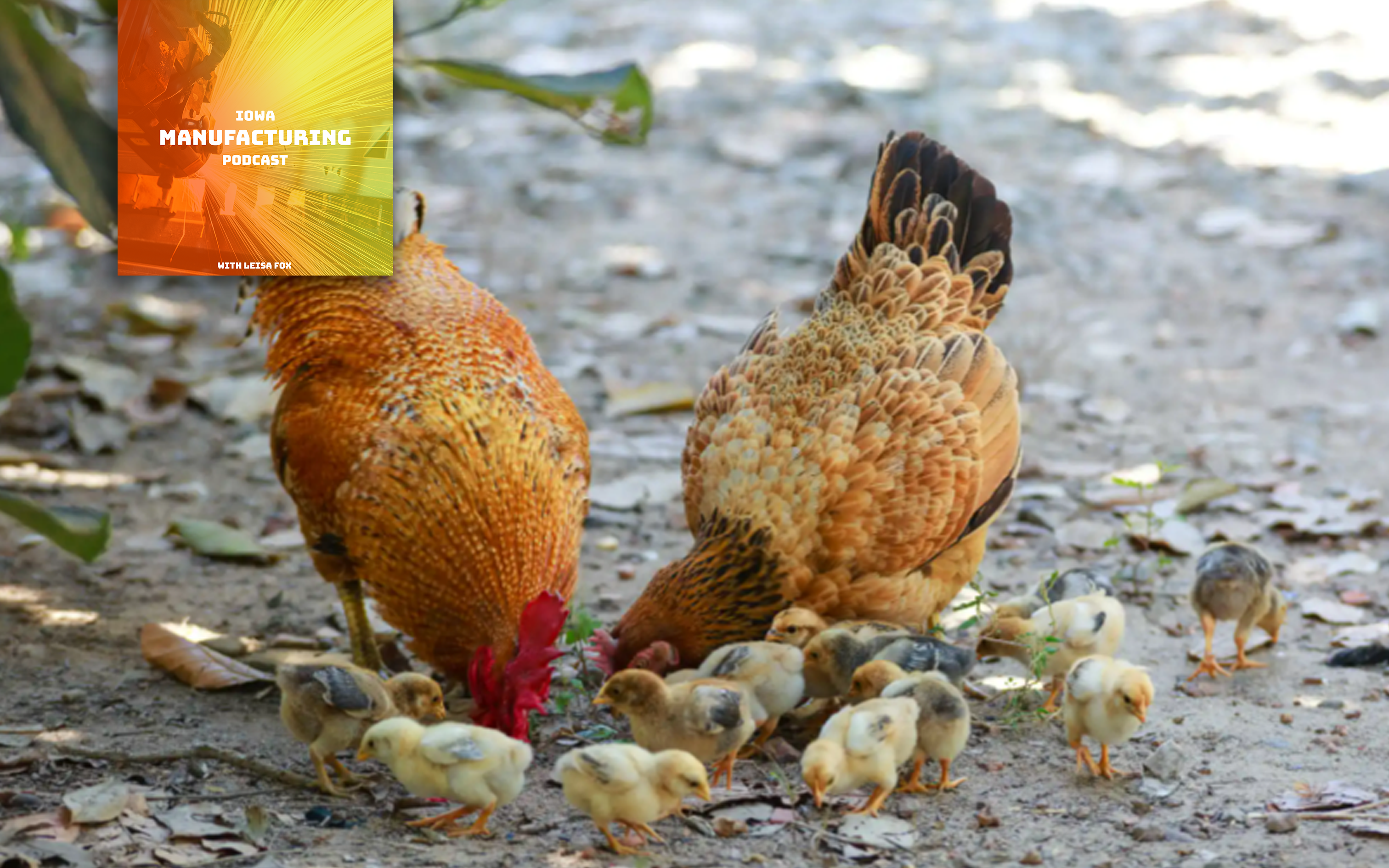 30 New Products, 11 Patents, 2 New Leaders. Feed Energy Takes Role of Helping Feed the World Seriously