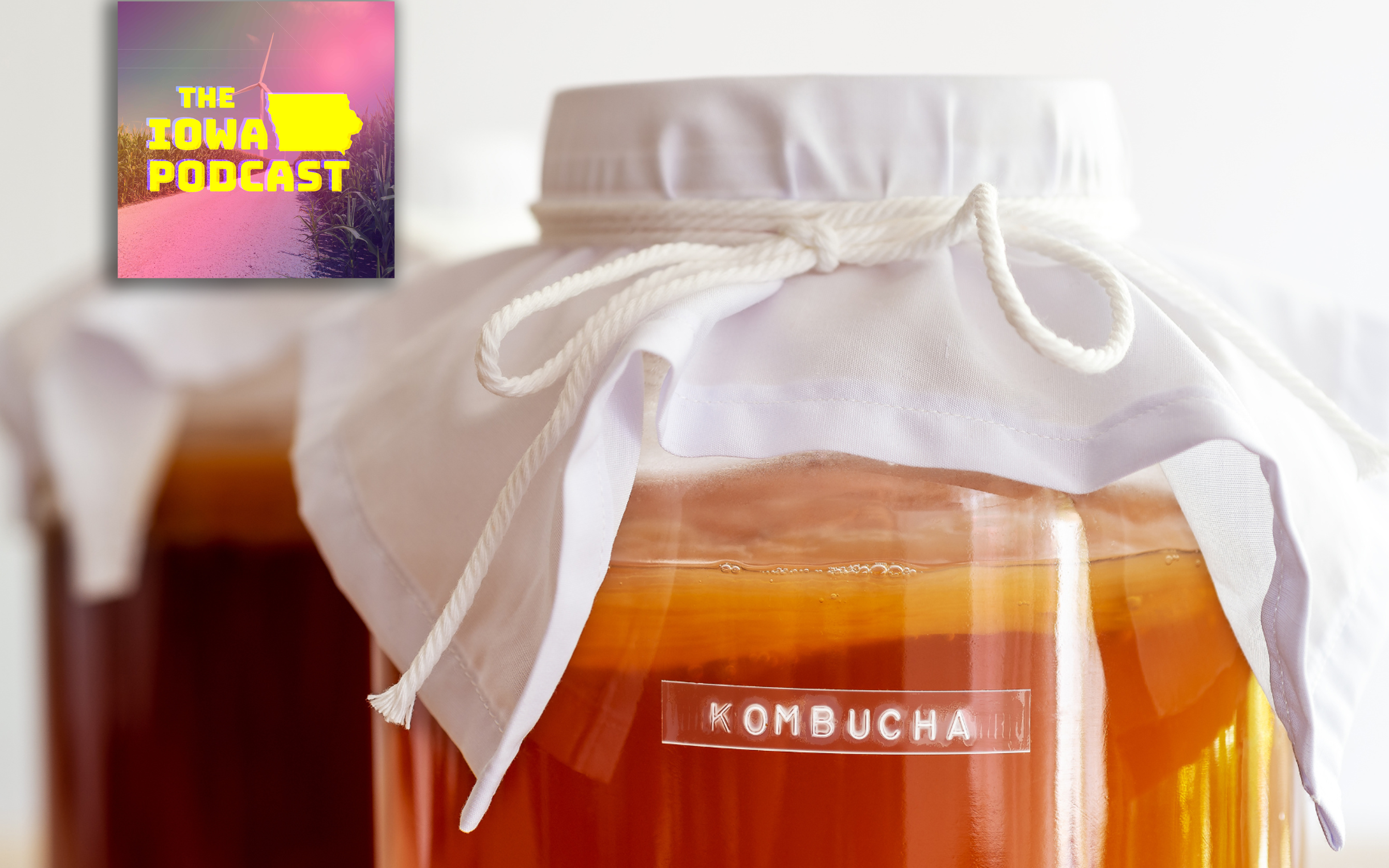 Drinking bacteria with Jake Troja, founder of Kismet Kombucha.