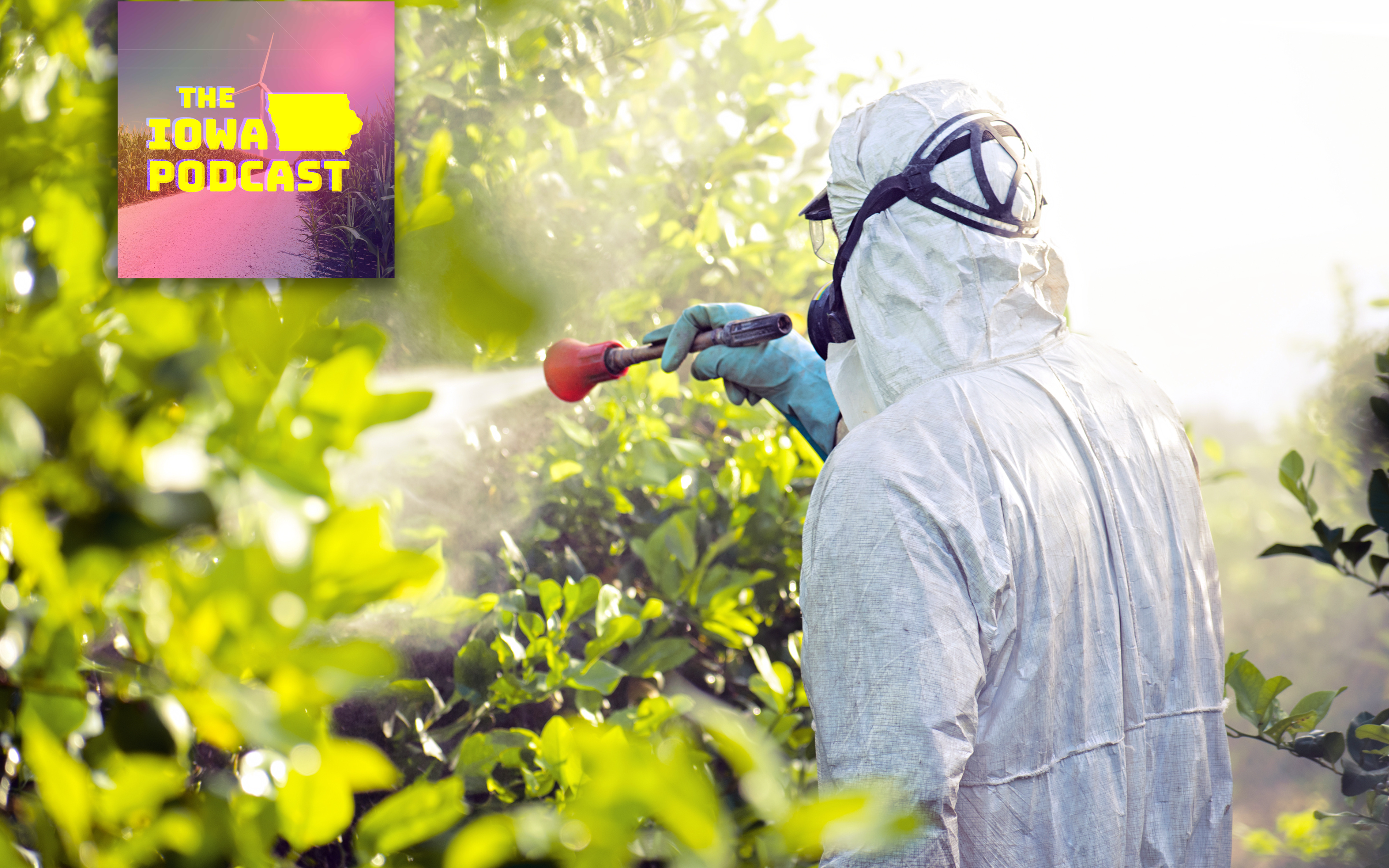 Law to shield pesticide manufacturers from Iowan lawsuits, says Sen. Tony Bisignano